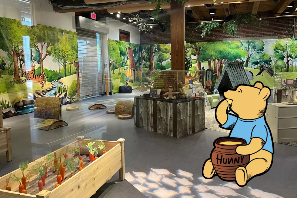 Winnie-the-Pooh Exhibit Opens for Limited Time at Boston Children’s Museum