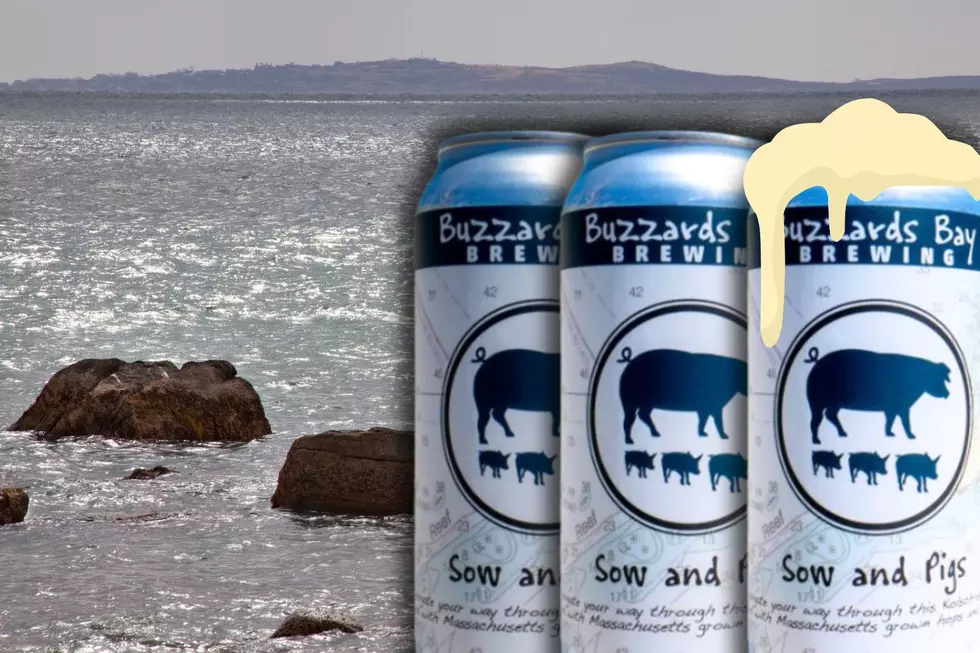 Buzzards Bay Coalition and Buzzards Bay Brewing Collaboration ‘Sow & Pigs’ Release Party