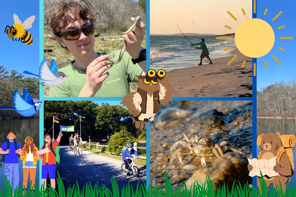 Buzzards Bay Coalition Is Offering Free Bay Adventures This June to Explore the Great Outdoors