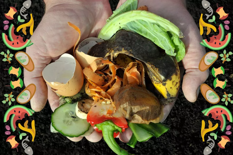 Dartmouth DPI Launches Pilot Waste Drop-off Program to Encourage Residents to Compost