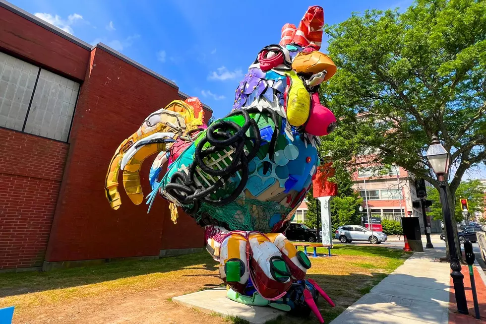 New Bedford’s Giant 24-Foot Recycled Rooster is Officially Complete