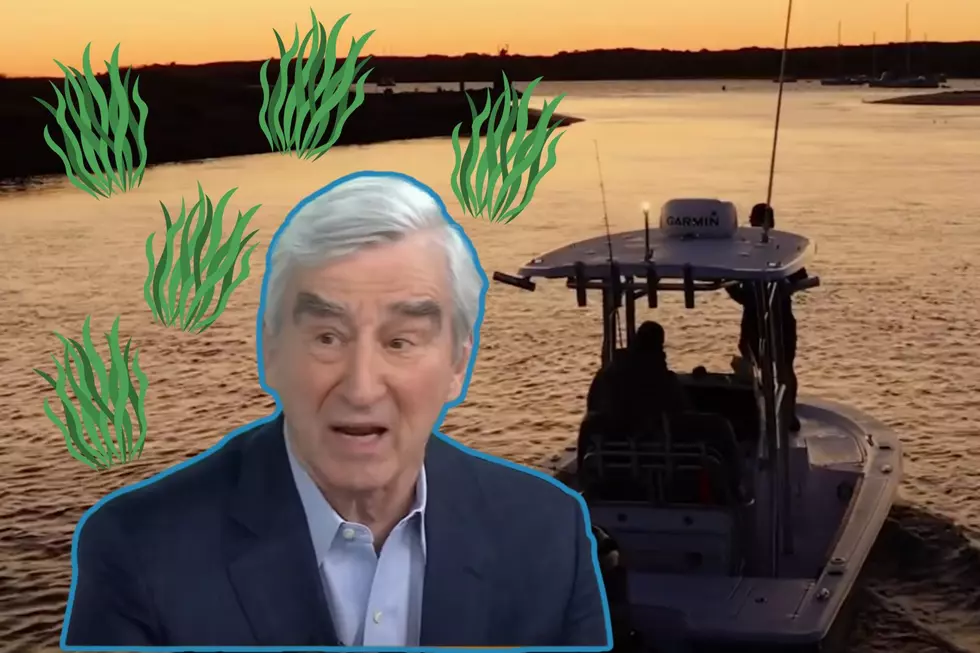 Sam Waterston Says This Is Killing Buzzards Bay