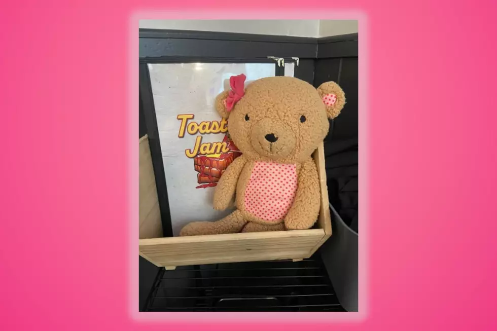 Lost Teddy Bear 2