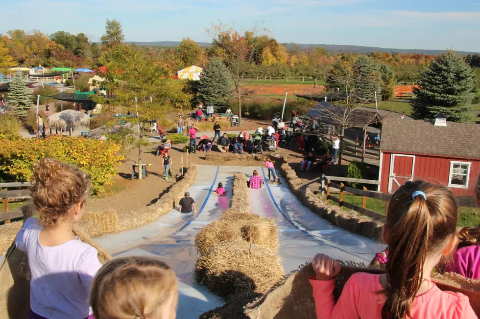 Davis Farmland Slide