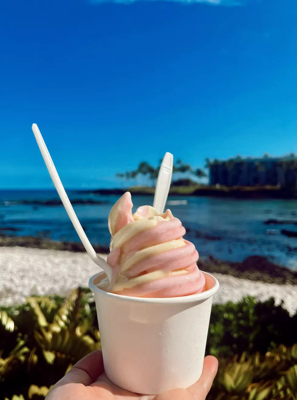 Hawaiian treat.