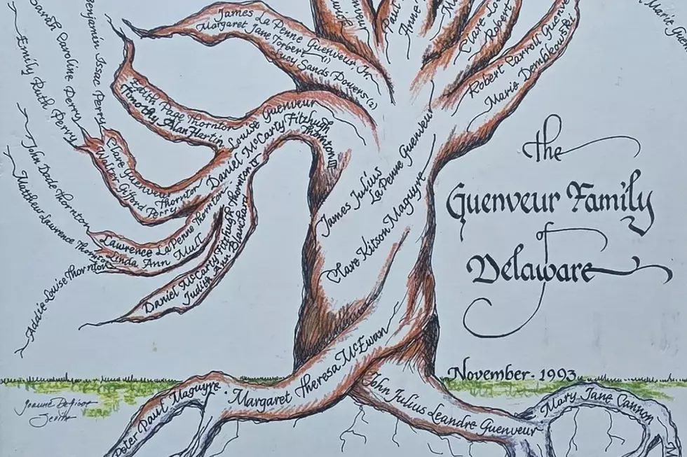New Bedford Man Returns Family Tree to Owner Across the Country