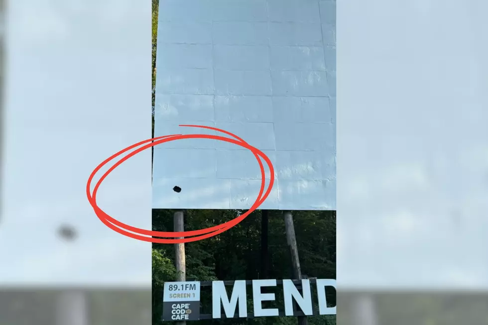Damaged drive-in movie screen at Mendon Twin after turkey collision