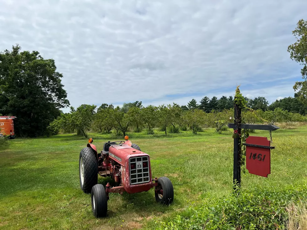 Beloved Acushnet Peach Farm Closes After 38 Sweet Seasons