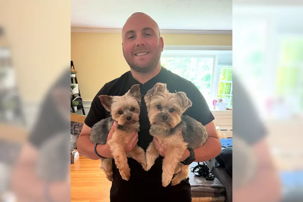 Fairhaven Police Officer Patrick Claflin Saves Kitten's Life