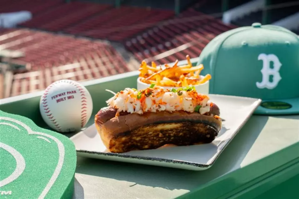 2026 Fenway Park Surf & Turf Dog