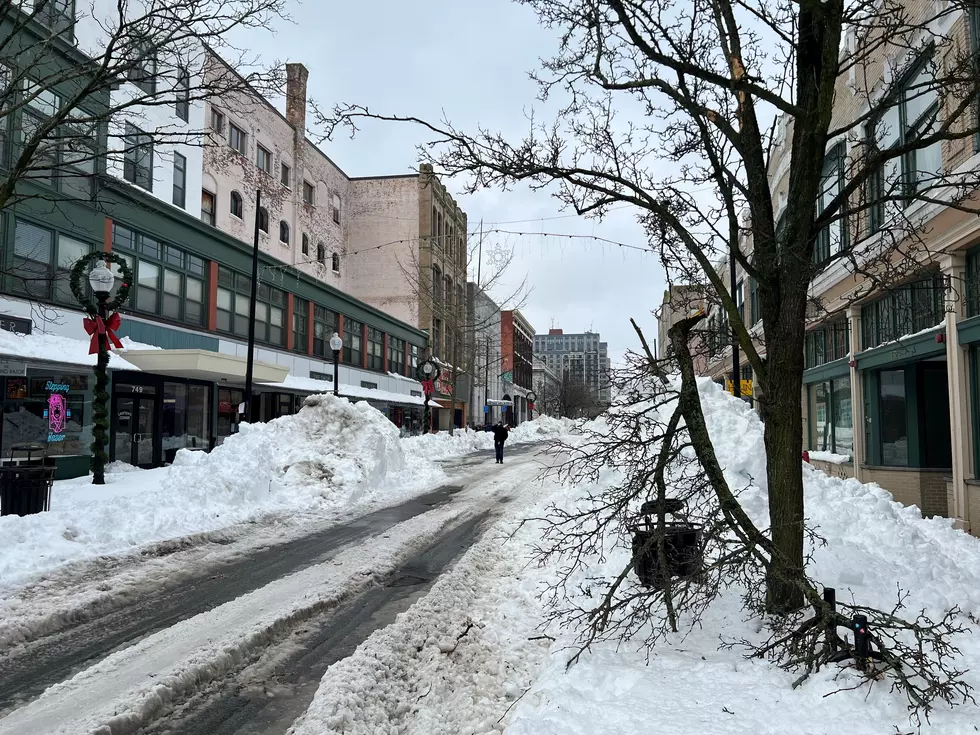 Here’s Who Pays When a Neighbors Tree Falls During a SouthCoast Storm