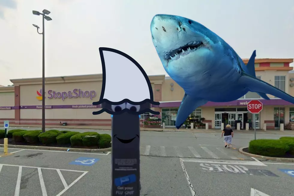 Stop & Shop’s Marty Gets a Shark Makeover for Summer