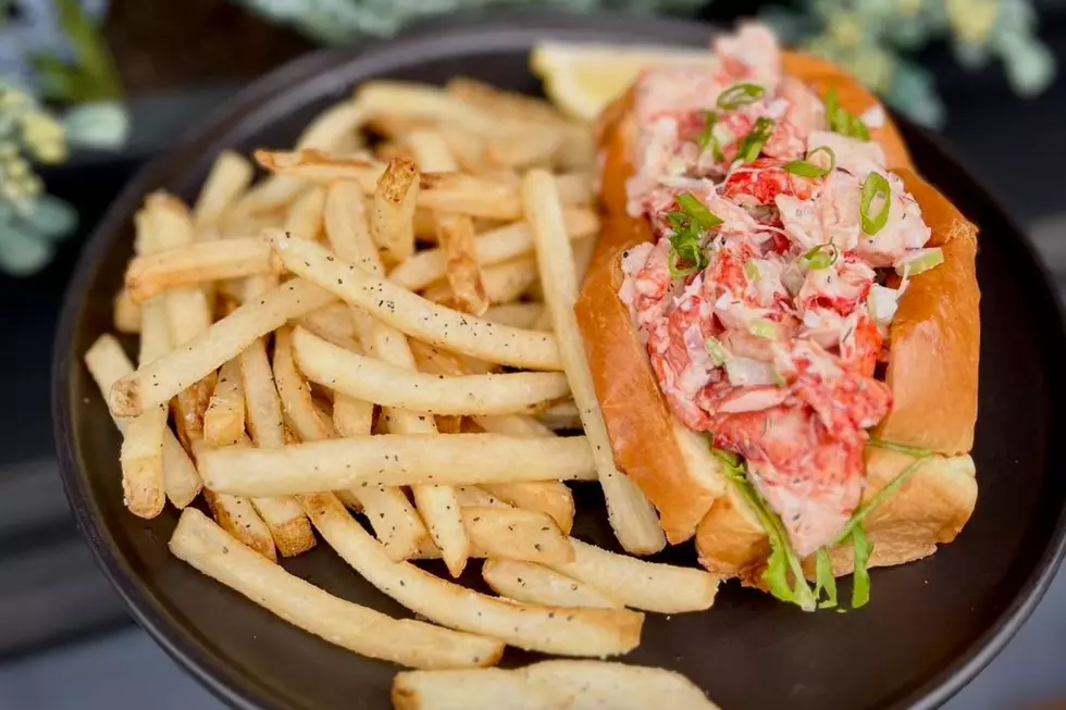 Hot vs Cold Lobster Rolls