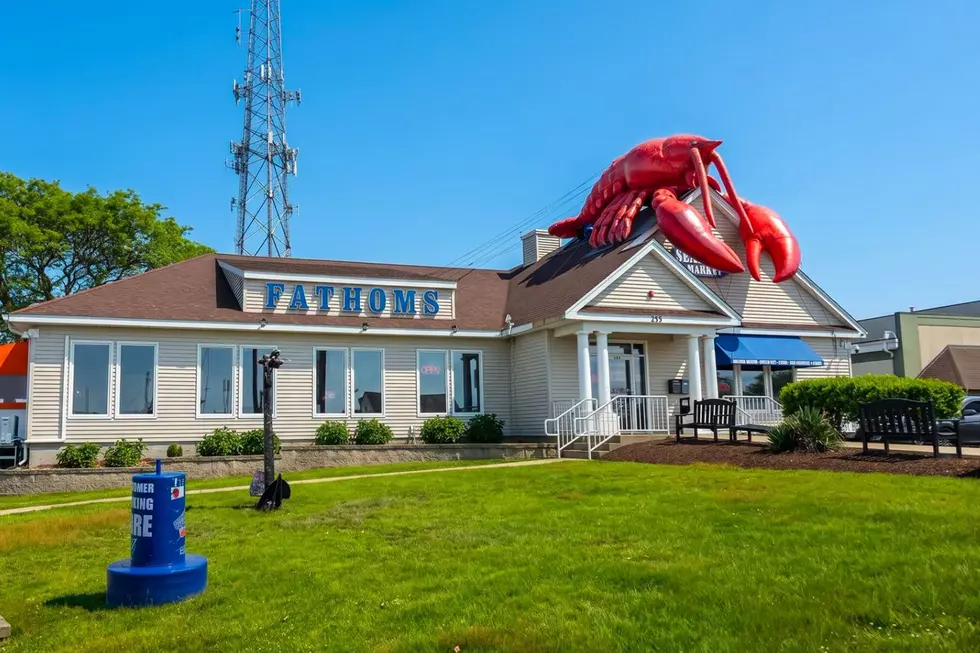 Name this Pope's Island Lobster