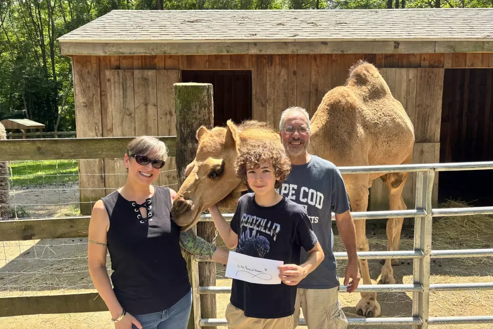Dartmouth Boy Raises $2,882 For Animals