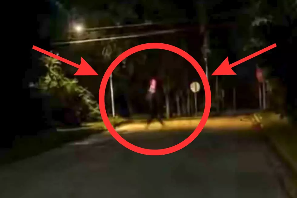 Creepy Cat in the Hat Spotted Roaming Streets of Fairhaven After Dark
