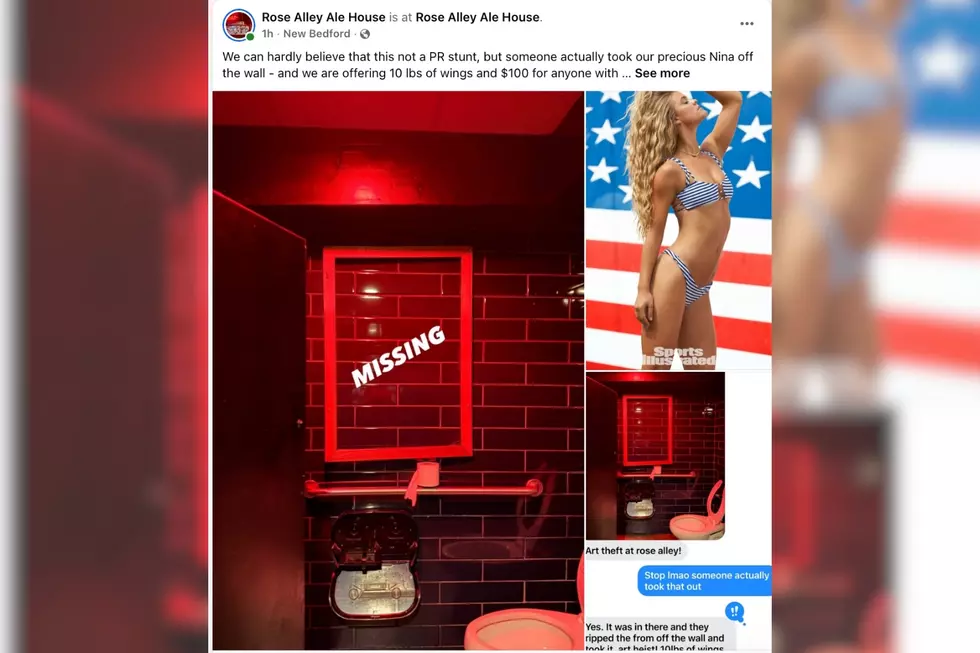 New Bedford's Rose Alley Stolen Nina Agdal Poster