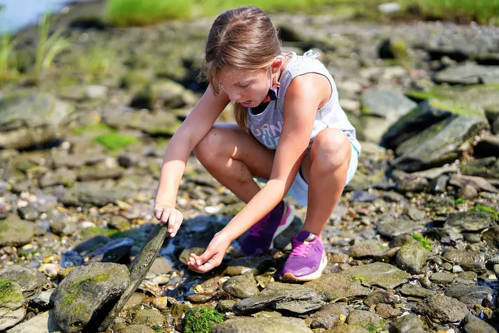 Score Free Family Fun in Mass. and RI Before Summer Ends