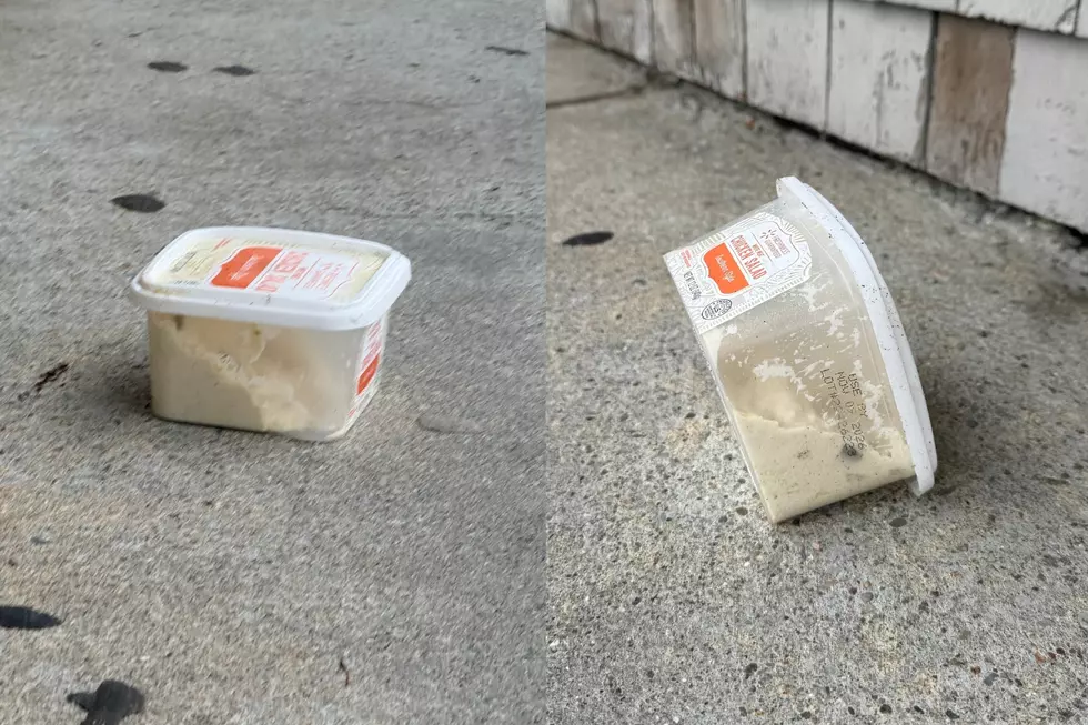 Half-Eaten Chicken Salad Container Found in Fairhaven