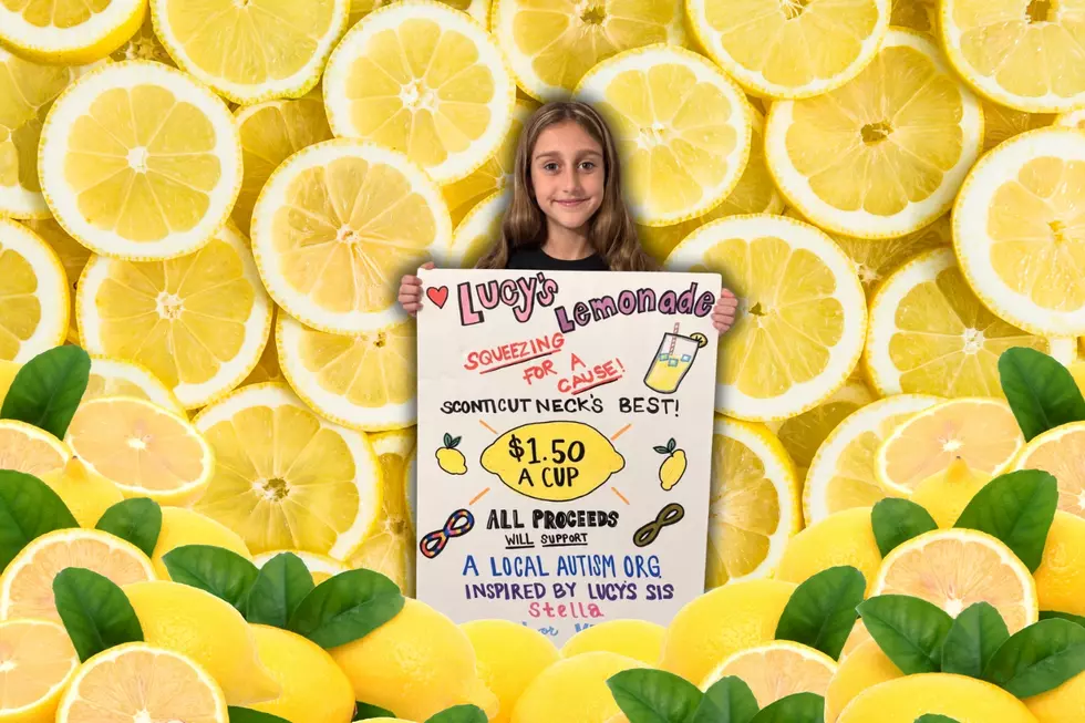 Fairhaven Girl's $1,000 Lemonade Stand