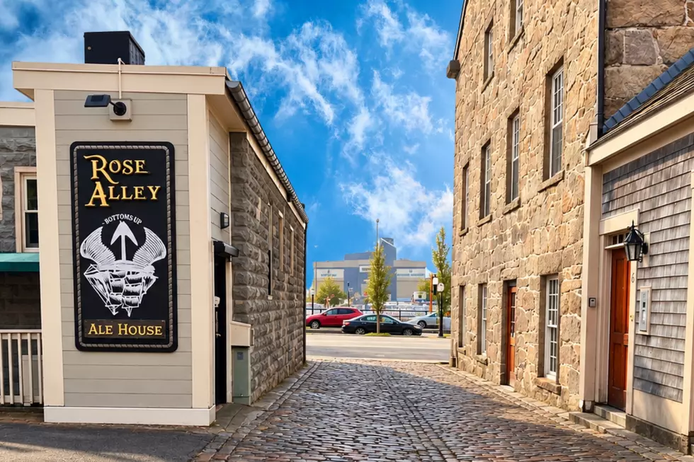 New Bedford’s Rose Alley Ale House Celebrates Return of Famous Nina Agdal Wall Art