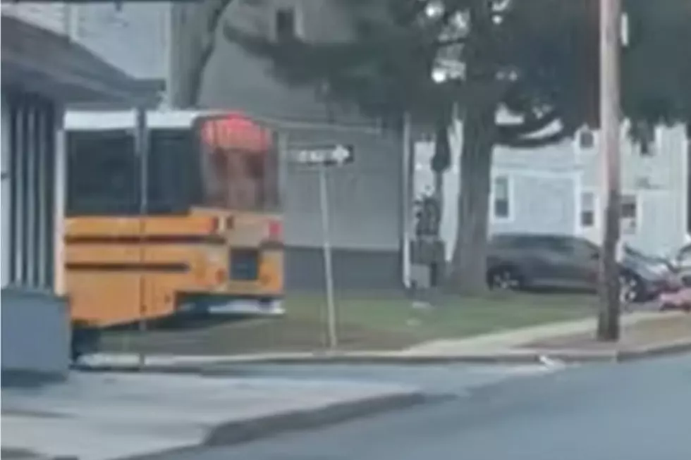 Caught on Video: NB Bus Drives Wrong Way on One-Way Street