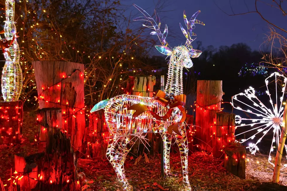 Roger Williams Park Zoo Holiday Lights Spectacular Returns to Providence