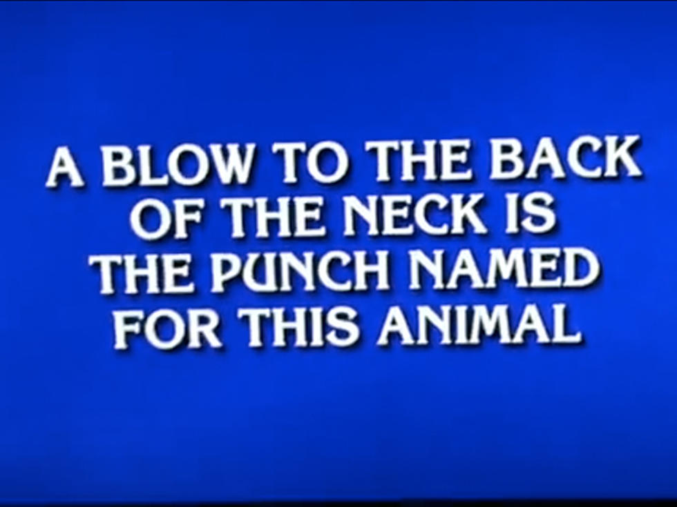 Jeopardy Contestant Asks ‘What is a Donkey Punch?’ [VIDEO]