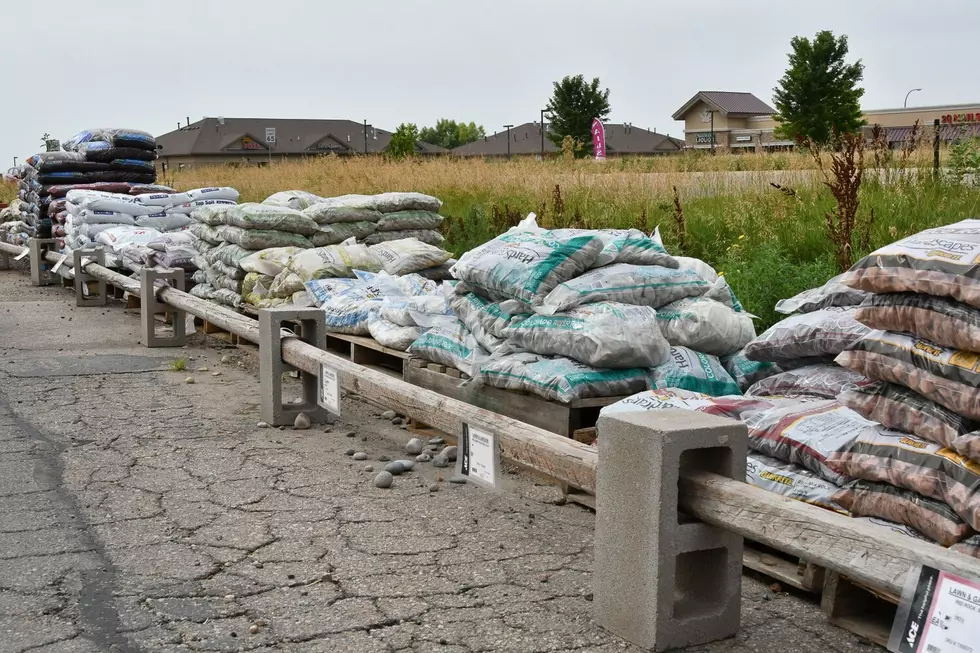 Free Wood Mulch Available in Fort Collins