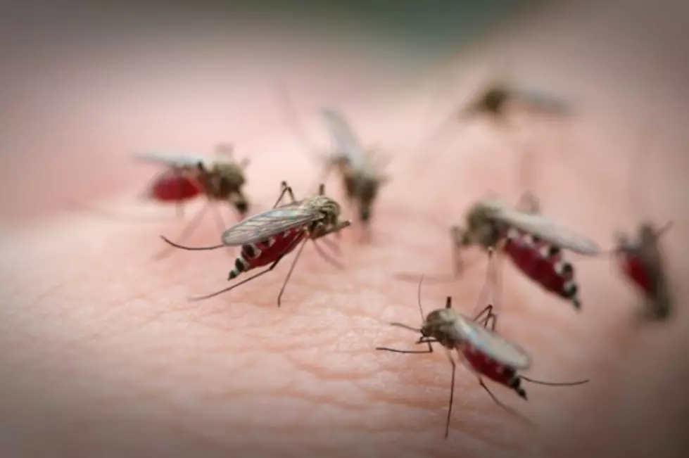 Permian Basin Preparing For Mosquito Flare-Up