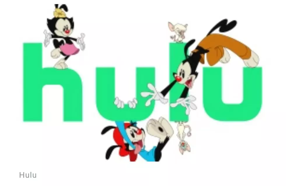 Animaniacs Reboot on Hulu