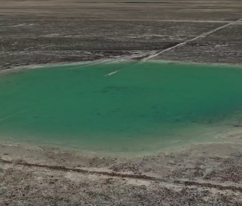 West Texas Oasis Outside Fort Stockton or Toxic pond?