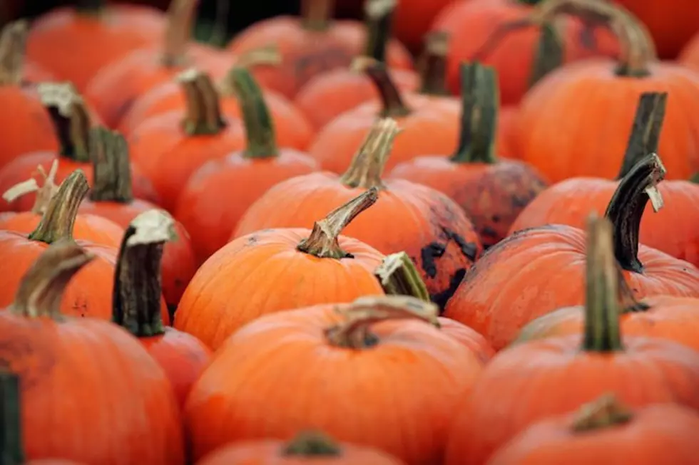 This Is Quite Possibly The Coolest Way To Grow Pumpkins, EVER!