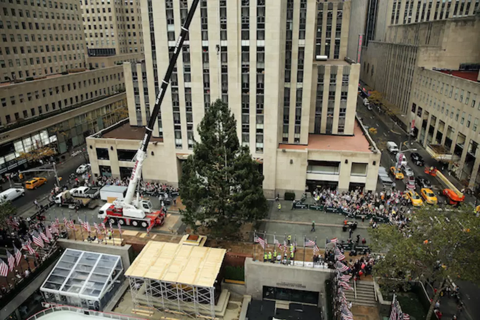 5 Facts About The Rockefeller Center Christmas Tree!