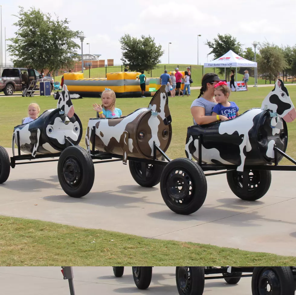 Take a Look at How Much Fun the Back to School Fun Fest Is!