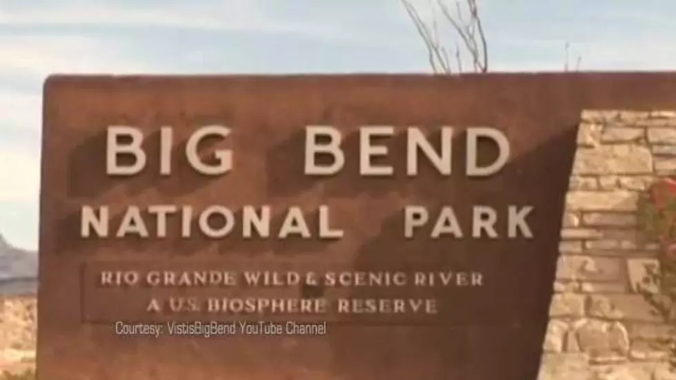 Big Bend Ecosystem Could Be Damaged By Proposed Border Wall