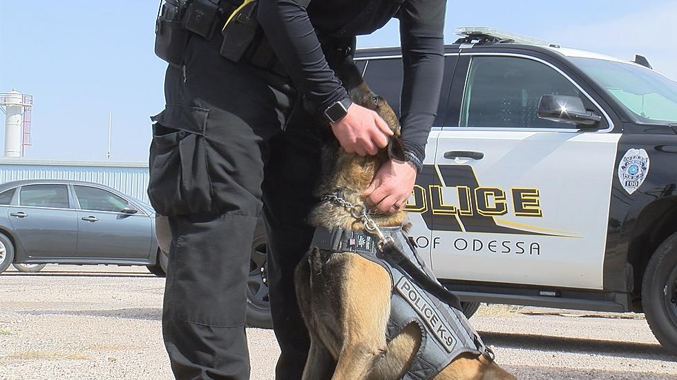 Odessa Police Raising Money to Help Protect K-9 Officers