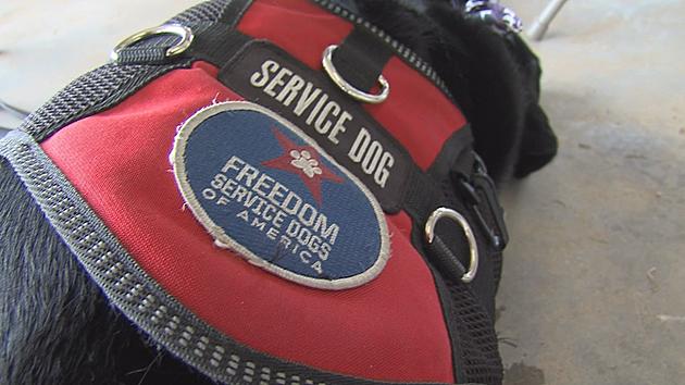 Local Organization Raises Funds To Provide Service Dogs For Vets and Disabled People