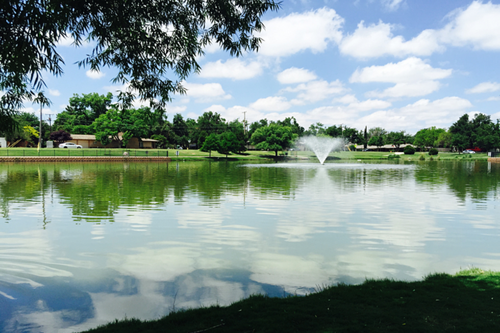 Rain Fills Duck Pond