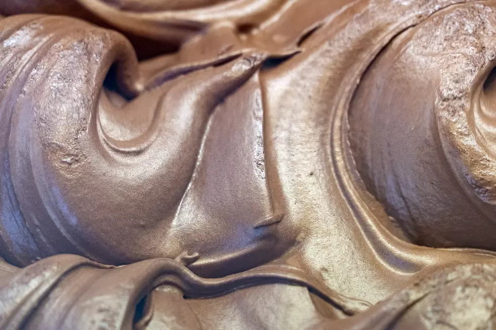 The Great Debate-Ice Cream-Chocolate or Vanilla? &#8211; Gunner