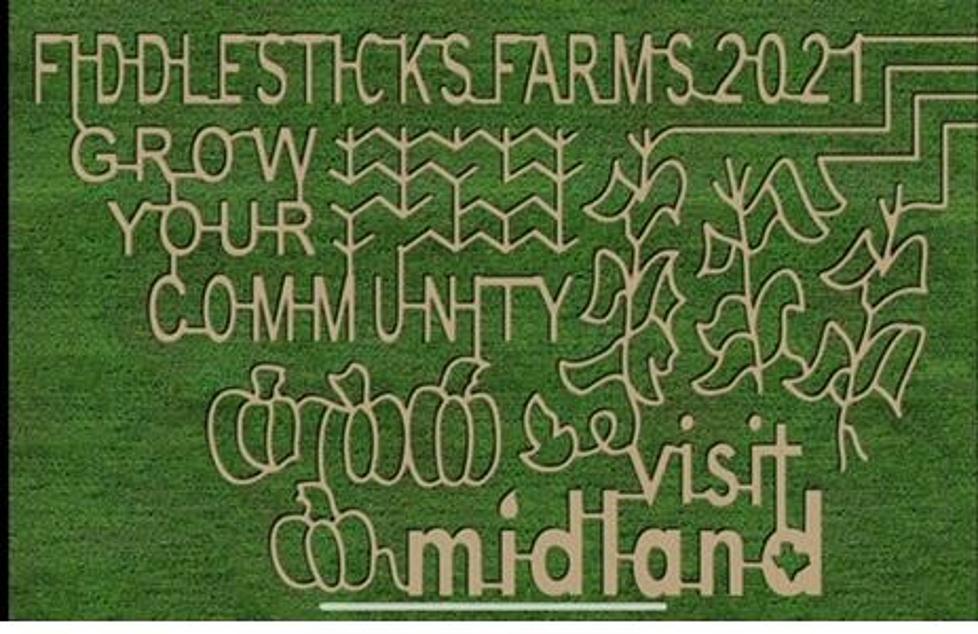 Fiddlesticks Farms Opens This Saturday