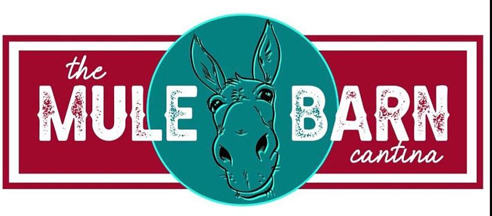 The Mule Barn Cantina Opens Monday