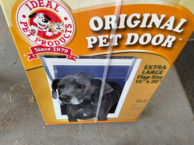Pet Doors In West Texas&#8211;Good Idea Or Asking For Trouble?