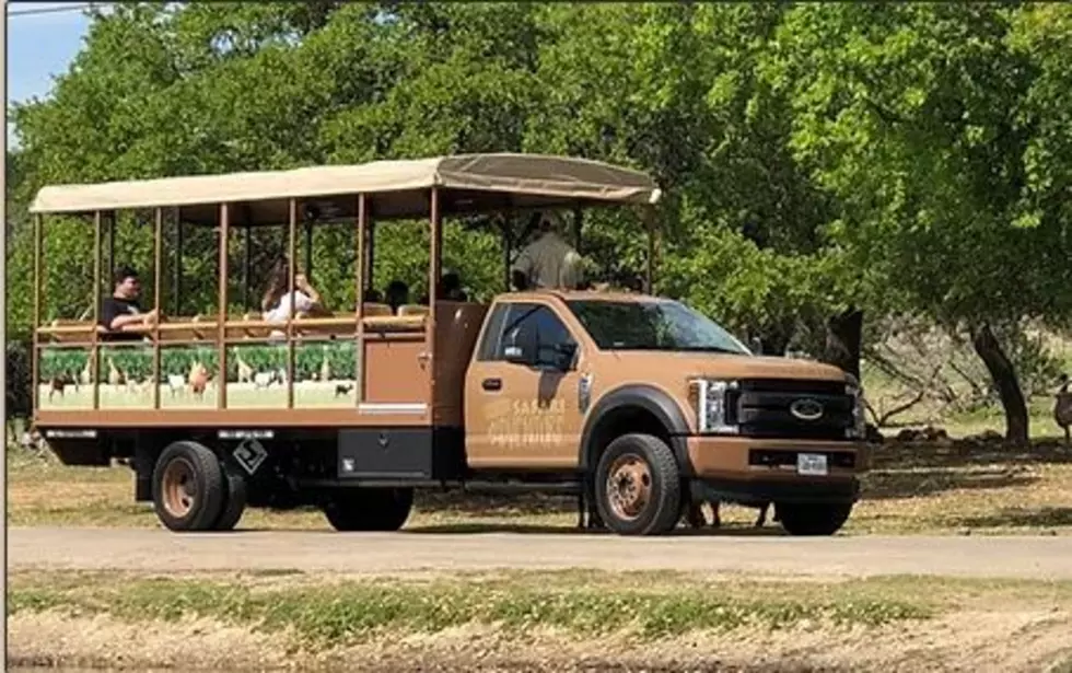 You Can Go On A Safari Right Here In Texas