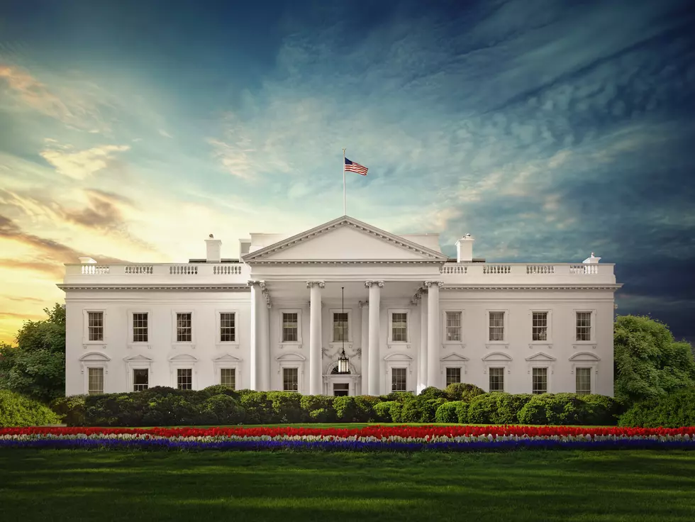 The White House, Washington DC - Image