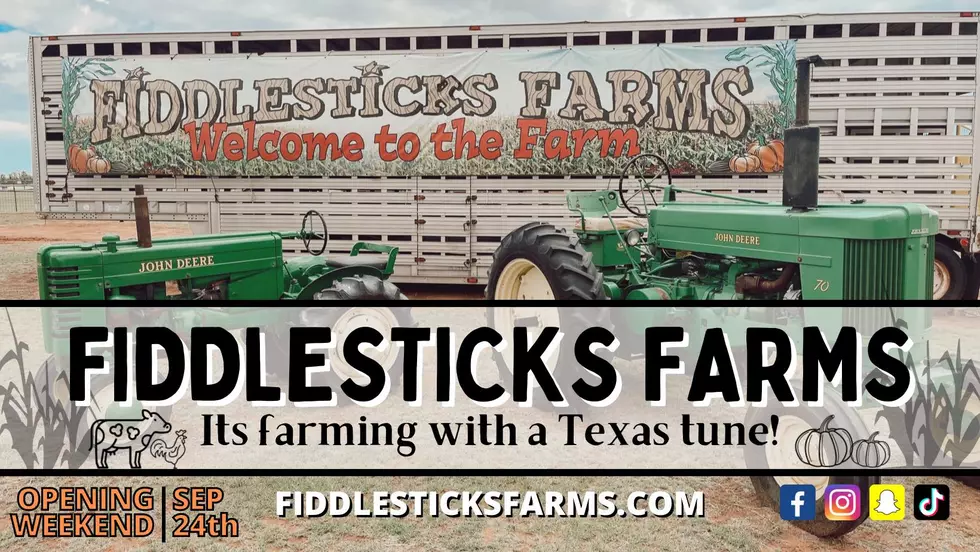 Now Open! Fun On The Farm Starts This Weekend As Fiddlesticks Farms Kicks Off It&#8217;s 15 Season