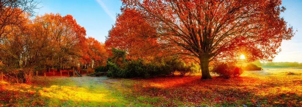 Autumn landscape