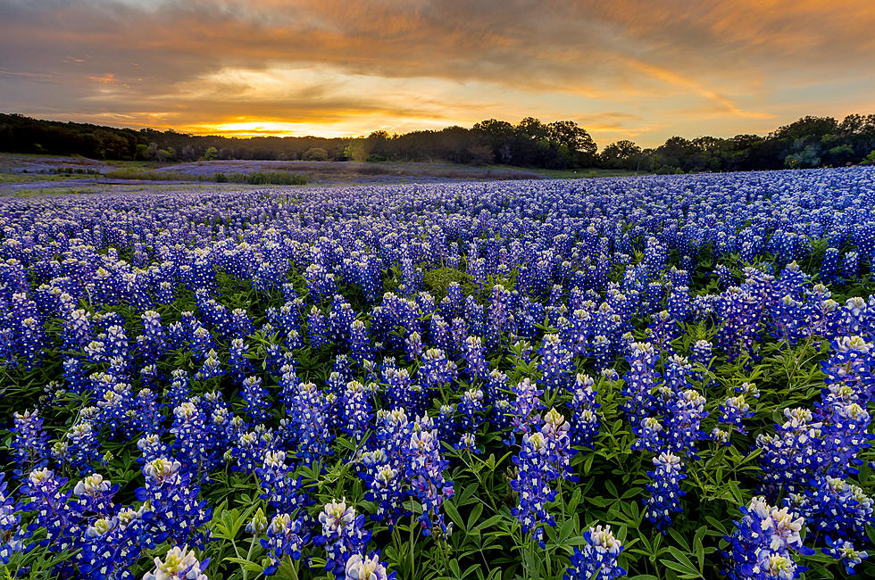 20 Of The Best Things About Texas