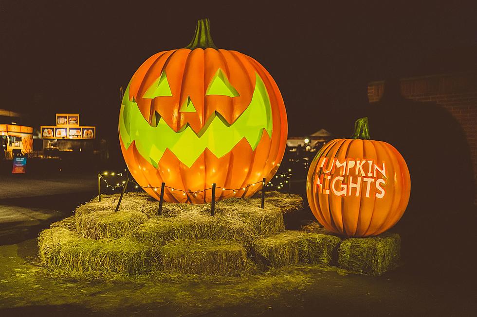 Check Out This Amazing Lighted Pumpkin Patch Here In Texas