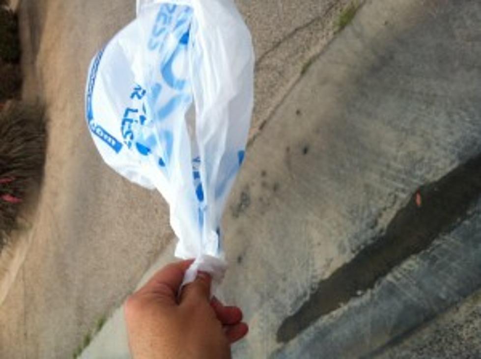 Plastic or Paper? Do You Care if Odessa or Midland BANS Plastic Bags?